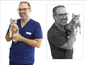Dr Philippe Krings-Ossena